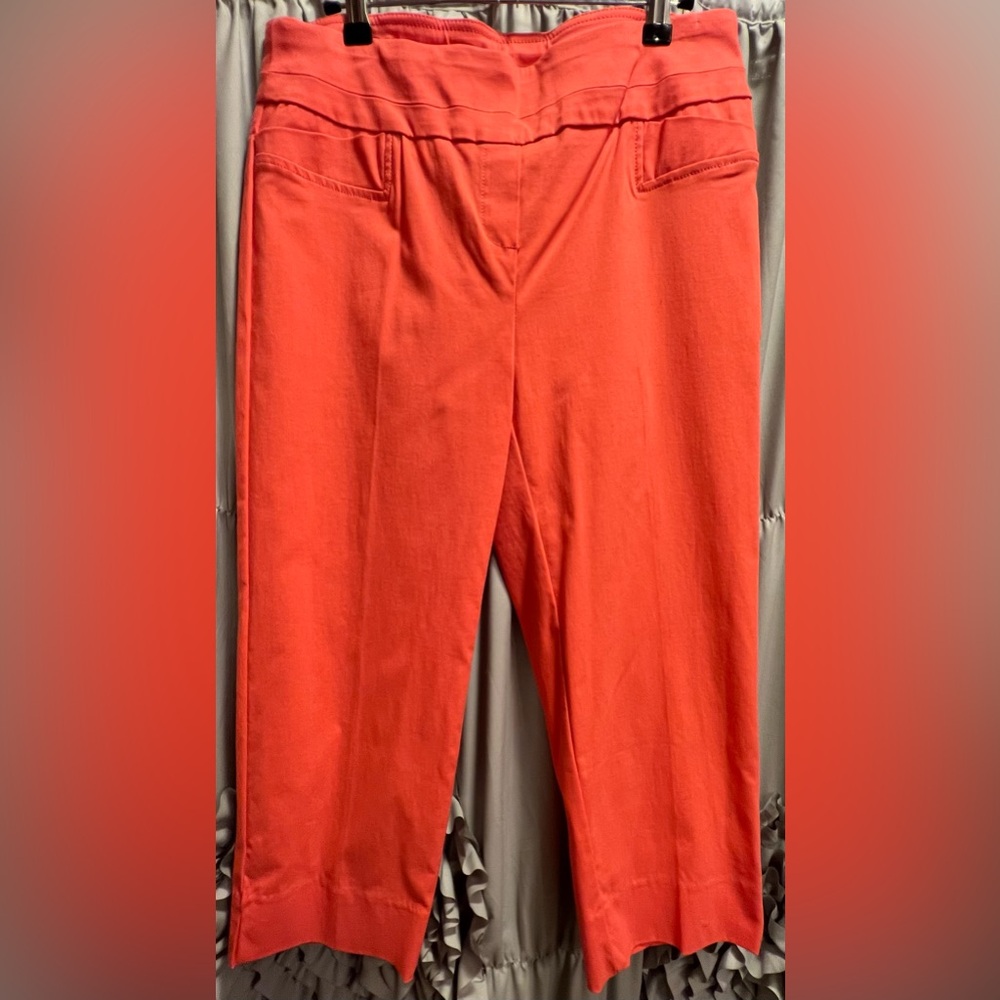 Zac & Rachel Capri Pants Size 10